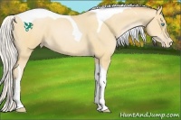 Horse Color:Silver Buckskin Pearl Tobiano