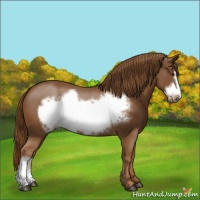 Horse Color:Chestnut Frame 
