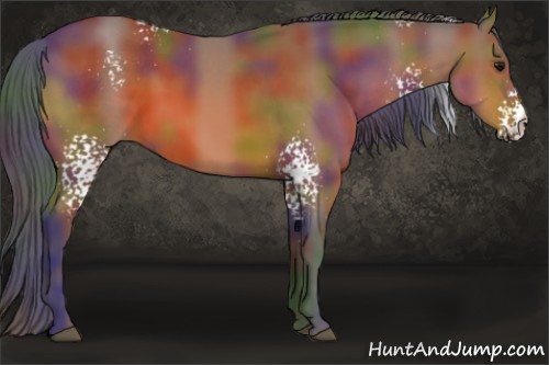 Horse Color:Nacre White Spotted Bay 