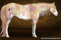 Horse Color:Nacre White Spotted Gold Champagne Frame 