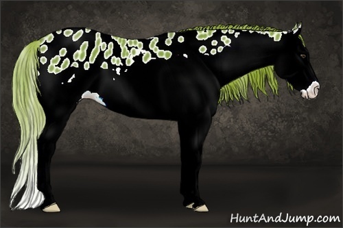 Horse Color:Watercolor Chestnut Splash Near Leopard 