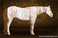 Horse Color:Chestnut Ice Sabino 