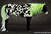 Horse Color:Watercolor White Spotted Chestnut Ice Splash Blanket Rabicano 
