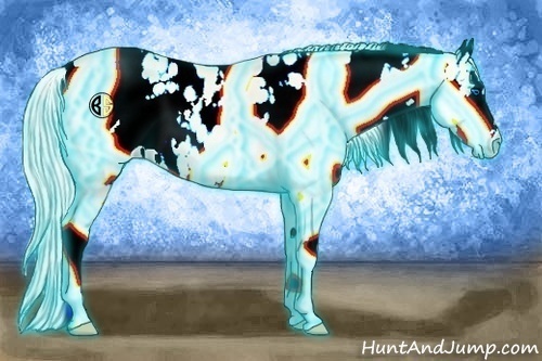 Horse Color:Thunderstruck White Spotted Palomino Pearl Splash Near Leopard 