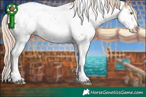 Horse Color:White Spotted Gold Champagne Sabino Near Fewspot and White Spotted Gold Champagne Sabino