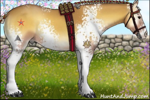 Horse Color:White Spotted Silver Buckskin Onyx 