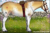 Horse Color:White Spotted Silver Buckskin Onyx 