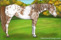 Horse Color:White Spotted Chestnut Frame Blanket 