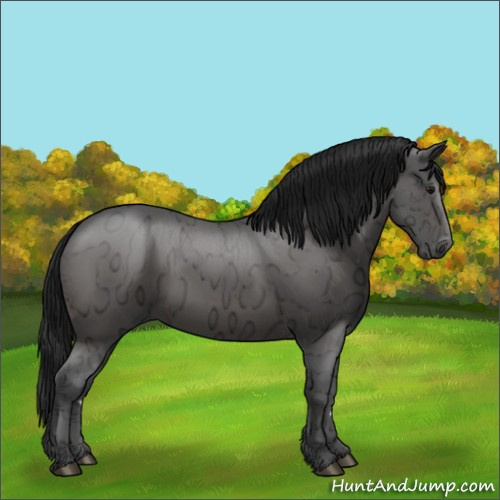 Horse Color:Gray Brown Ice