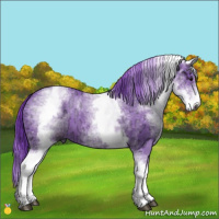 Horse Color:Gray Watercolor White Spotted Black Ice 