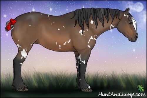 Horse Color:White Spotted Brown 