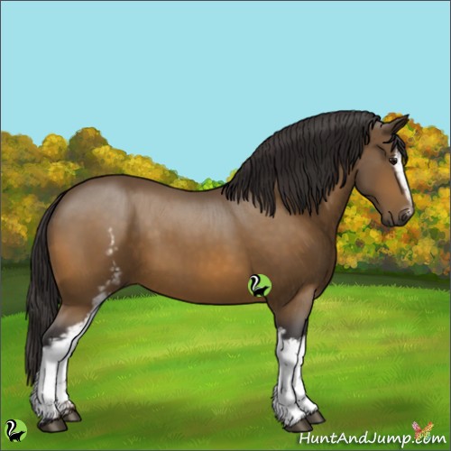 Horse Color:White Spotted Buckskin