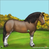 Horse Color:White Spotted Buckskin