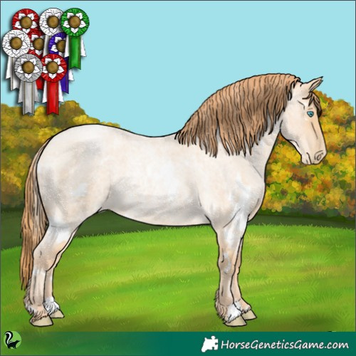 Horse Color:White Spotted Buckskin Roan Pearl 