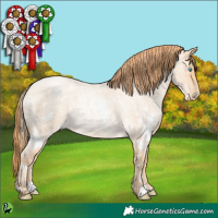Horse Color:White Spotted Buckskin Roan Pearl