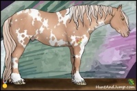 Horse Color:White Spotted Gold Champagne