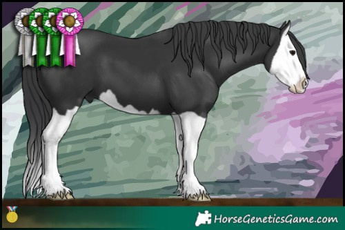 Horse Color:Black Splash