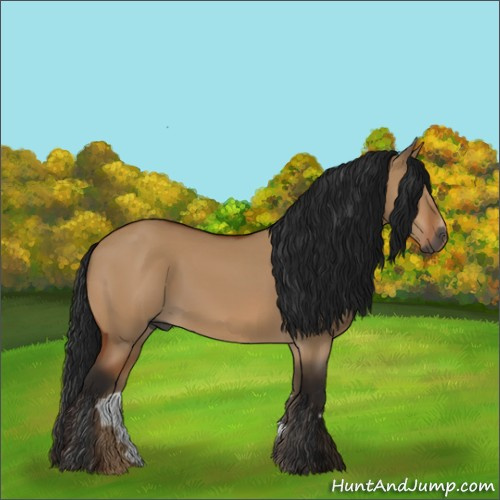 Horse Color:Gray Bay Dun Sabino