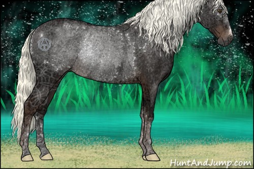 Horse Color:Liver Chestnut Ice Mushroom Rabicano 