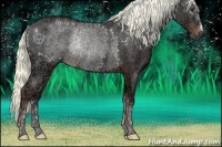 Horse Color:Liver Chestnut Ice Mushroom Rabicano 