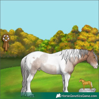Horse Color:Sable Champagne Tobiano