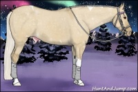 Horse Color:Silver Smoky Grullo Tobiano Varnish 