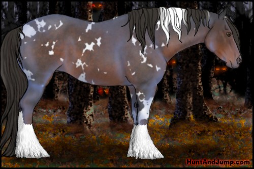 Horse Color:White Spotted Liver Red Roan