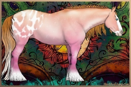 Horse Color:Chocolate Buckskin Pearl Dun Splash Varnish Rabicano