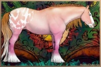 Horse Color:Chocolate Buckskin Pearl Dun Splash Varnish Rabicano