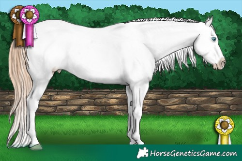 Horse Color:Chocolate Buckskin Pearl Dun Blanket Rabicano