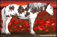 Horse Color:White Spotted Silver Brown Splash