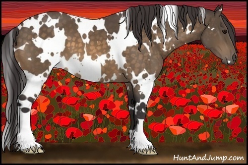 Horse Color:White Spotted Buckskin 