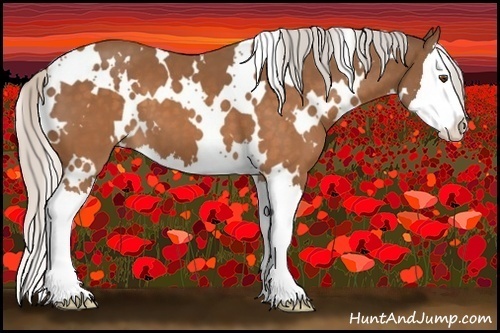 Horse Color:White Spotted Silver Buckskin Splash 