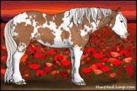 Horse Color:White Spotted Silver Buckskin Splash 