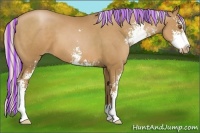 Horse Color:Painted Silver Black Pearl Sabino 