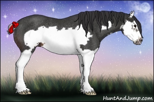 Horse Color:Brown Splash Frame Rabicano 