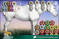 Horse Color:White Spotted Sable Champagne Sabino