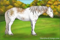 Horse Color:White Spotted Silver Black Pearl