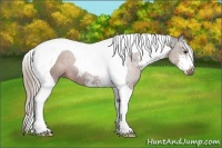 Horse Color:Silver Brown Sabino Tobiano 