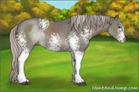 Horse Color:White Spotted Silver Black 
