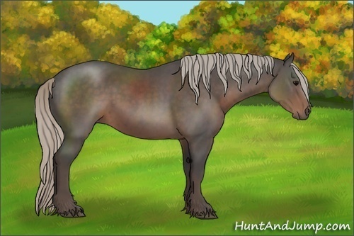 Horse Color:Silver Black Sabino