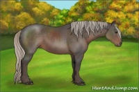 Horse Color:Silver Black Sabino 