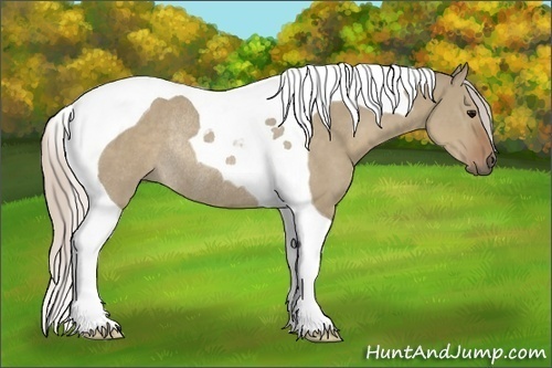 Horse Color:Silver Grullo Tobiano Rabicano 