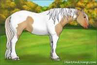 Horse Color:Silver Brown Dun Tobiano 