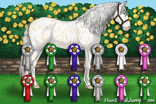 Horse Color:Cremello Leopard 
