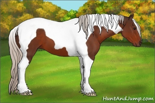 Horse Color:Silver Brown Tobiano 