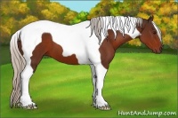 Horse Color:Silver Brown Tobiano 