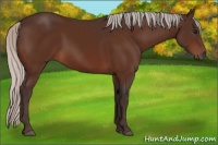 Horse Color:Silver Brown