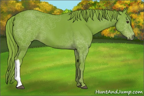 Horse Color:Watercolor Liver Chestnut 