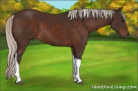Horse Color:Silver Brown Tobiano 